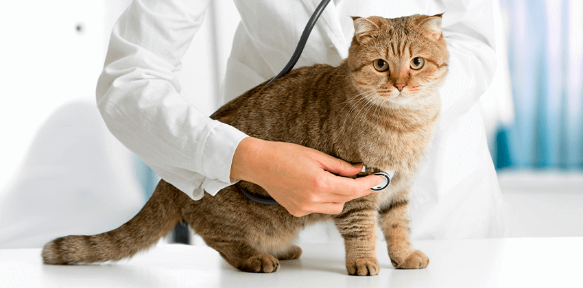 Diagnostics