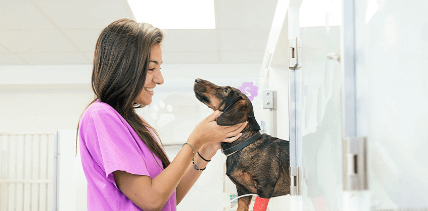 Health Screening Tests