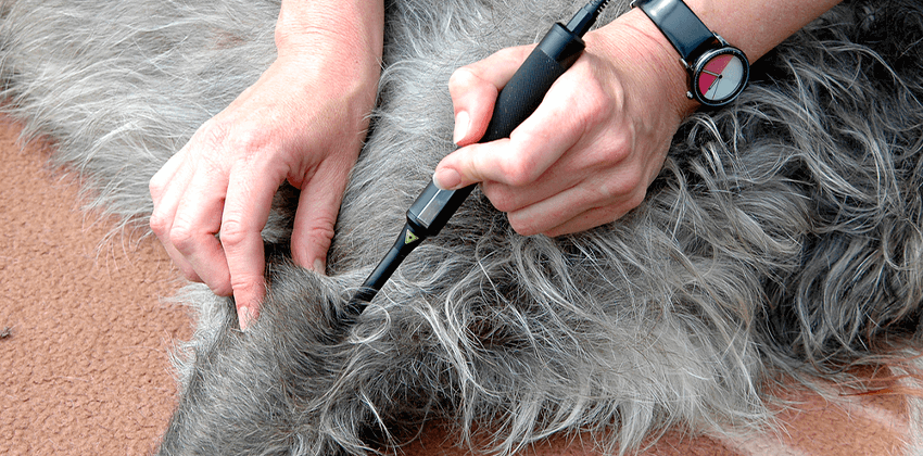 Laser Therapy